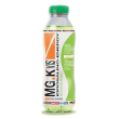 Mgk vis linea sali minerali energy drink limone integratore alimentare 500 ml