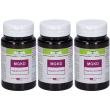 Mgkd 60 capsule 3x30 g