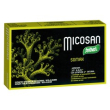 Micosan somax 40 capsule
