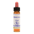 Mimulus essenza 10ml