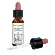 Mimulus original 10ml gocce