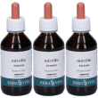 Mirtillo rosso gemmoderivato 3x100 ml soluzione orale