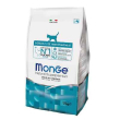 Monge kitten 1/12 months 1,5kg