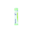 Moschus 5ch gr