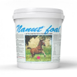 Nanut foal latte in polvere per puledri e cavalli 10 kg