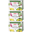 Naturplus tisana depur-attiva 3x30 g