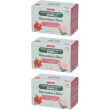 Naturplus tisana fredda ricostituente rosa canina e ibisco 30,6 g