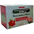 Naturwaren dr. theiss - naturplus tisana fredda ricostituente rosa canina e ibisco, 18 filtri