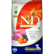 N&d gf p form puppy mini l&b7k