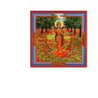 Neesha-ma gocce 30ml