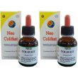 Neo colifast gocce 2x50 ml orali