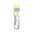 Nitricum ac 6ch 5g gr