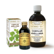 Nocciolo 500ml analco gem 10+