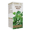 Noce 100ml analco gemmo 10+