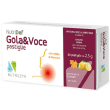 Nutridef gola&voce mi/li20 pastiglie