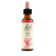 Oak bach orig 20ml
