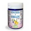 Oenothera borragine 40 perle