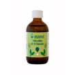Oleolito primula 50ml