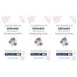 Olio essenziale vaillant geranio 3x10 ml essenziale