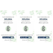 Olio essenziale vaillant melissa 3x10 ml essenziale