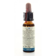 Olive 10ml di leo