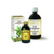 Olivo 100ml analco gemmo 10+
