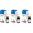Oralmad spray 15 ml 3x15 ml