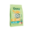 original formula puppy & junior small - mini al pollo - alimento completo per cuccioli di taglia piccola 2 kg