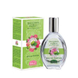 Ortensia fico eau de parfum