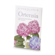 Ortensia sacchetto prof casset
