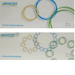 Sir orthovisc mini 1ml 1 pezzi