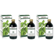 Ortica estratto integrale 200 ml 3x200 ml soluzione orale