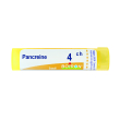Pancreas 4ch gr