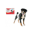 Pannolini fasc cani maschera 3 12p