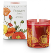 Papavero soave candela