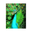 Pavone peacock ess 30ml