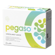 Pegaso axiboulardi junior 14 bustine