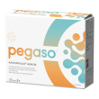 Pegaso axidophilus j 14 bust.e