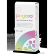 Pegaso enterodophilus baby 1 flaconcino 7 ml
