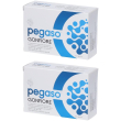 Pegaso gonfiore capsule 2x6 g