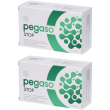 Pegaso stop capsule 2x29,7 g