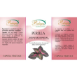 Perilla frutescens 60 capsule