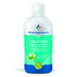 Pharmamentis collutorio protettiva