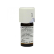 Phosphorus d6 20ml gt