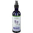 Physalis acqua florale lavanda bio 200 ml soluzione