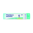 Phytolacca decandra 6ch 80gr