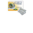 Picnoxyd 30 capsule blist