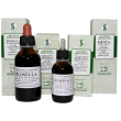 Pilosella 1000ml gocce
