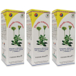 Pilosella compositum gocce 100 ml 3x100 ml orali