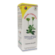 Pilosella compositum gocce 100ml